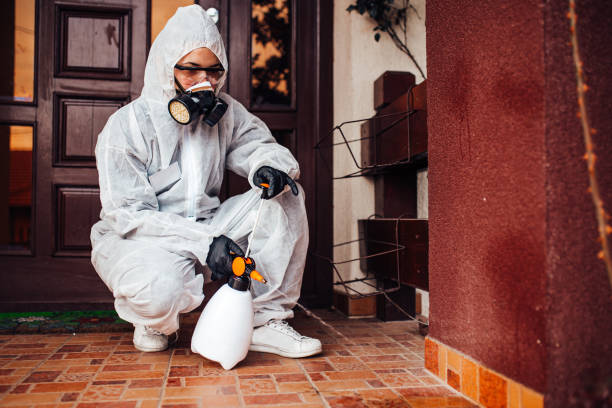 Reliable Wasp Removal contractor in Cape Canaveral, FL by Show Me Pest Control